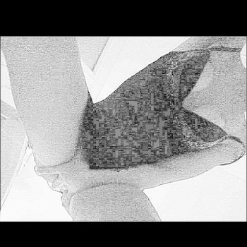 Nedia - Verdille - Charente | Annonce Sex