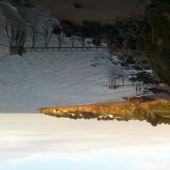 Angelle - Corbreuse - Essonne | Annonce Sex