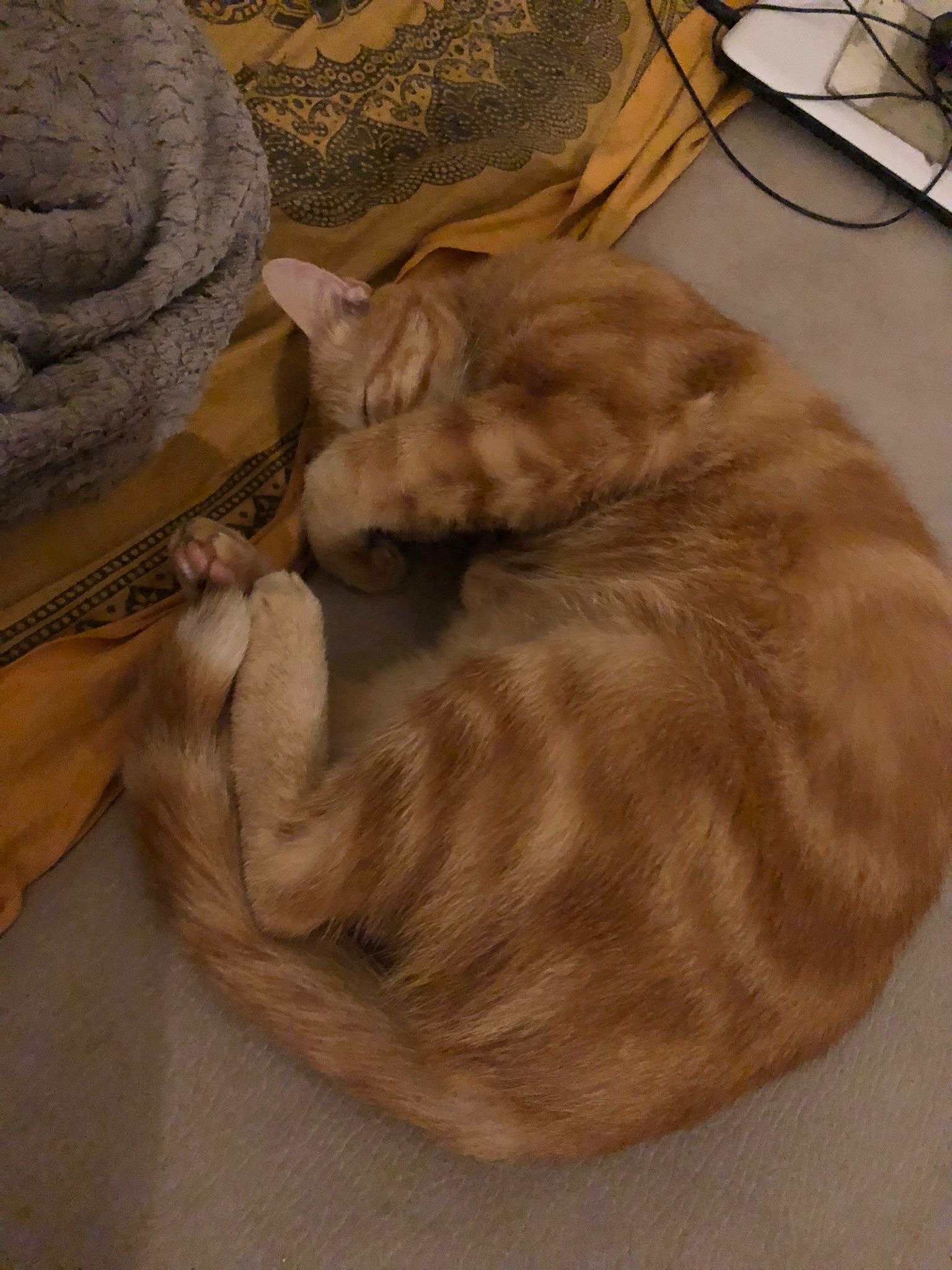 Manille - Thise - Doubs | Annonce Sex