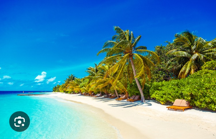 Arlo - Fauch - Tarn | Annonce Sex