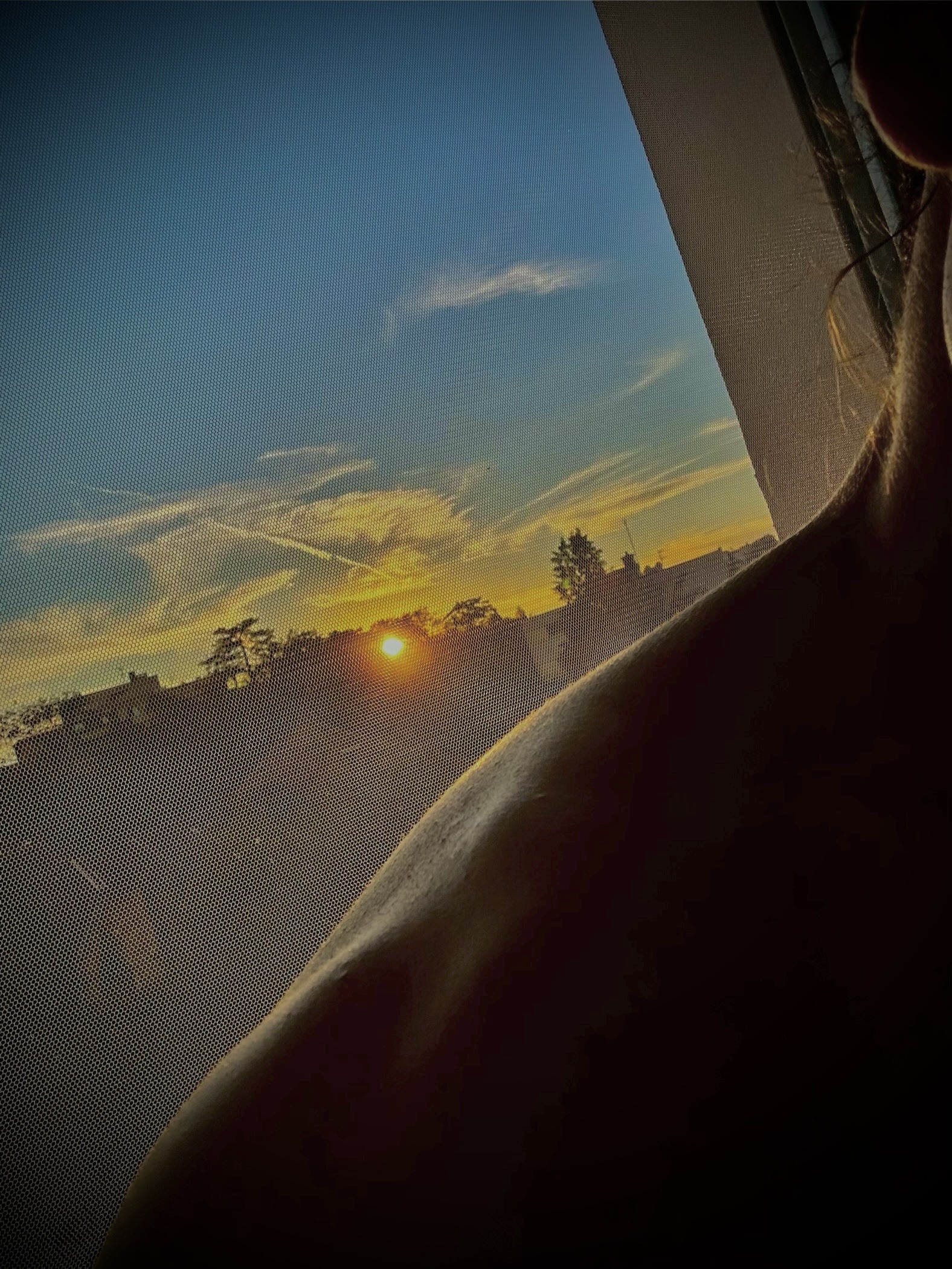 Farrell - Contest - Mayenne | Annonce Sex