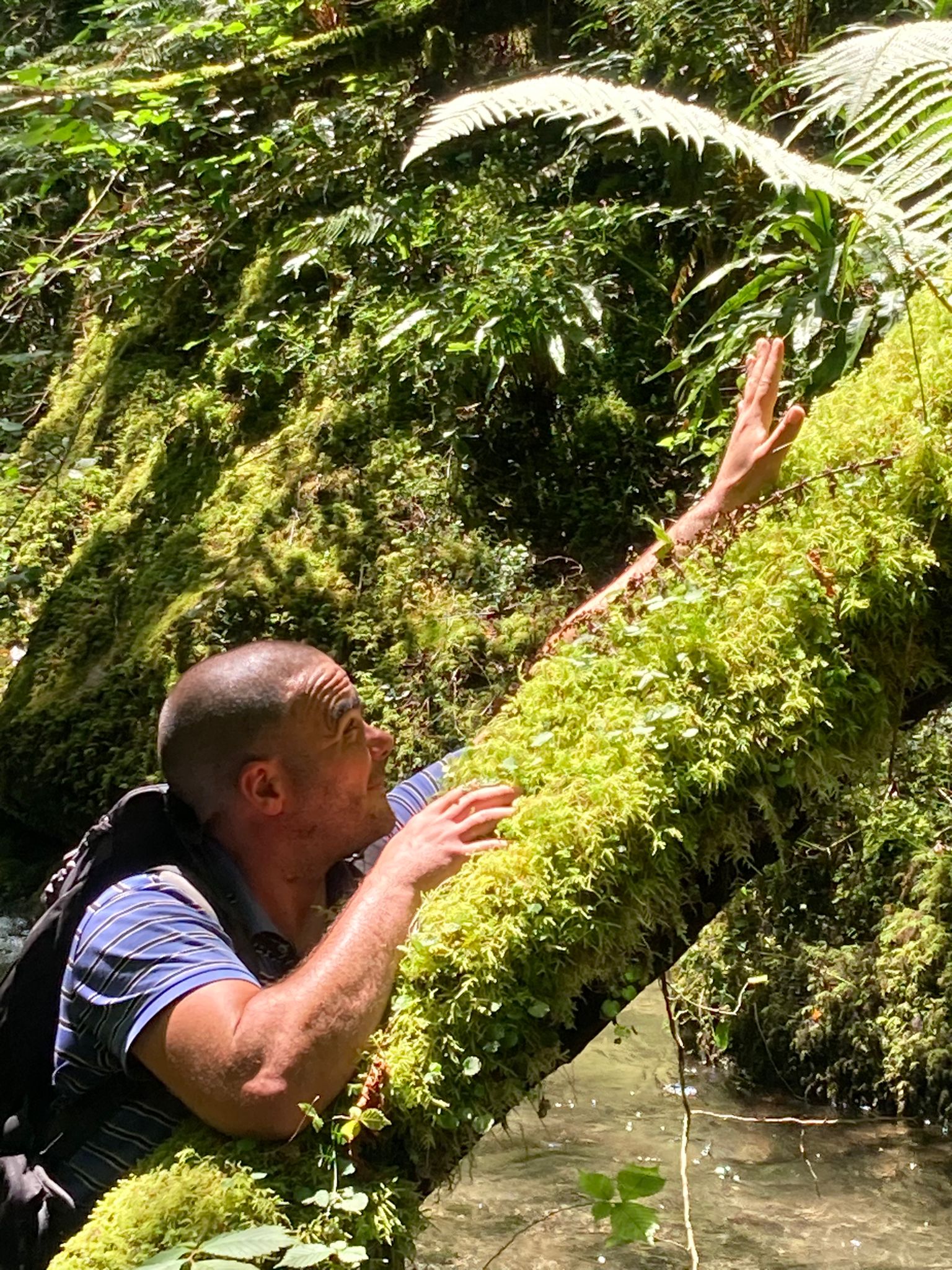 Avit - Mathaux - Aube | Annonce Sex